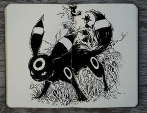 #288 Umbreon