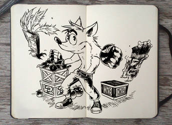 #301 Crash Bandicoot