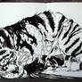 #304 Striped Cat