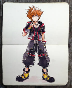 Kingdom Hearts 3 outfit!!!