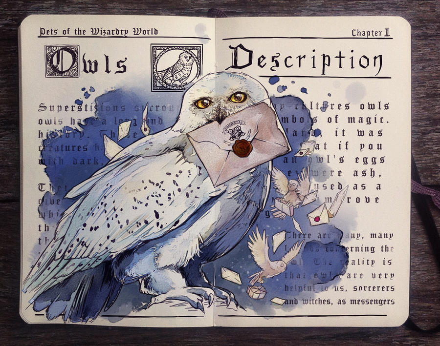 .: Pets of the Wizarding World: Owls