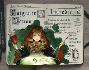 #6 Polyjuice Potion