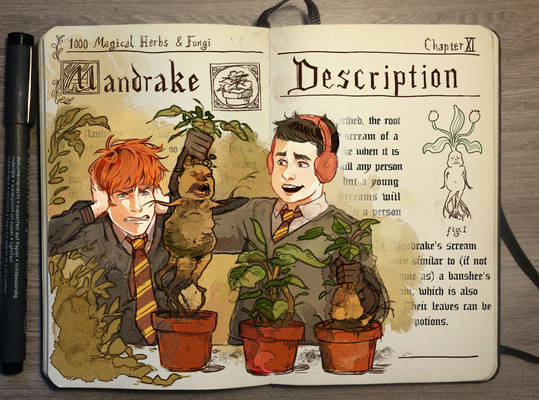 Mandrake