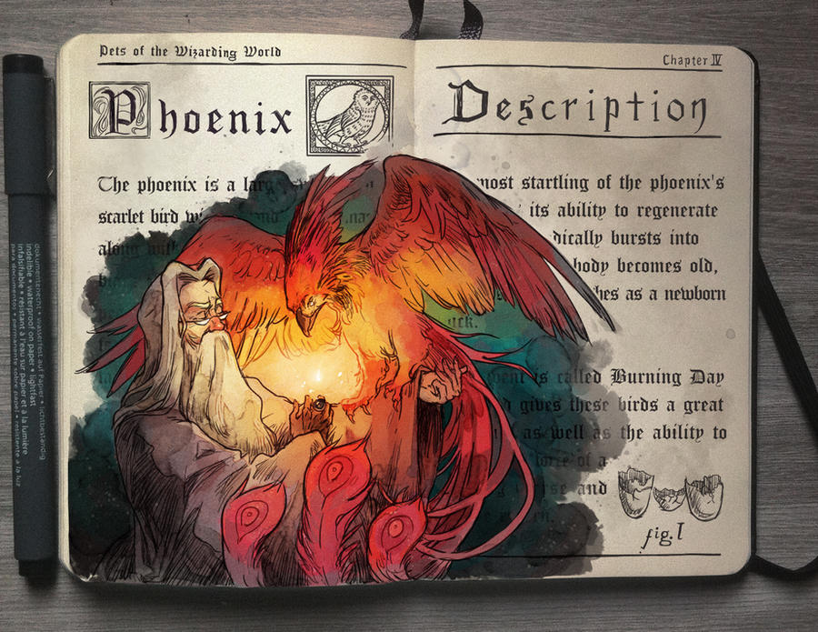 Téléchargement gratuit Images Phoenix By Picolo Kun On Deviantart dernière