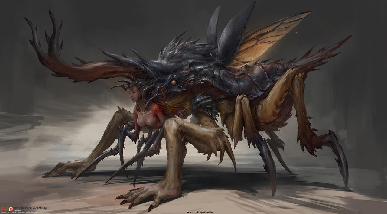 Deviantart Insect Lady Lesson27_Insect Study_Lady Bug by DongjunLu on DeviantArt