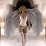 Angel Catwalk