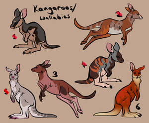 Kangaroo Adopt Flat Sale | 2 OPEN