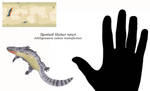 Nea - Spotted Hubur newt by Dontknowwhattodraw94
