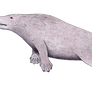 Sealwhale