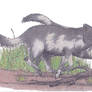 Pleistocene dogs