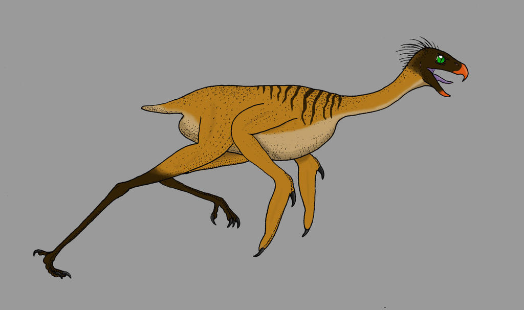 Bird Evolution Deviantart Day 17 - All Today's bird by Dontknowwhattodraw94 on DeviantArt