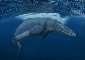 Mosasaurus hoffmanni