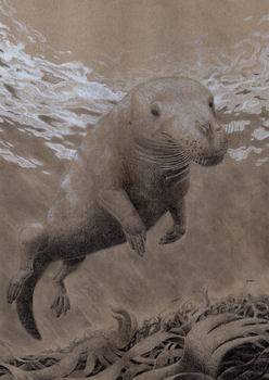 When whales had hooves