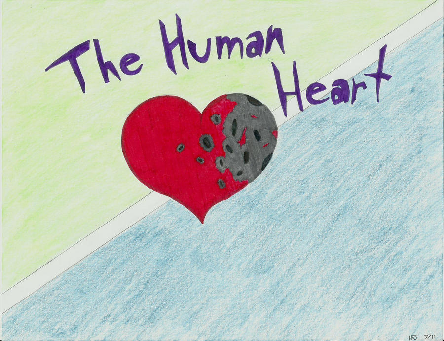 The Human Heart