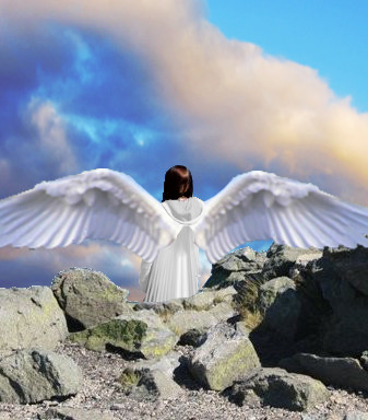 Angel Wings