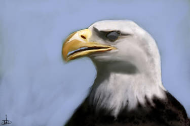 Eagle