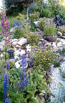 The Fay  Rock Garden 1