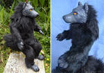Lakota wolf by zarathus