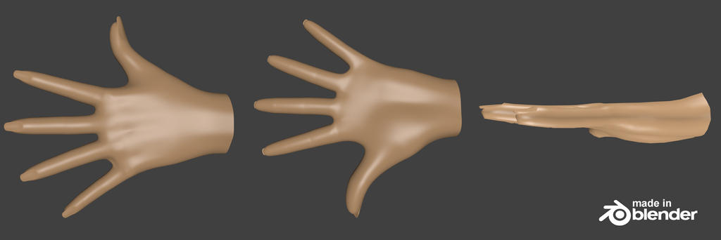Hand Render Model by il-logik on DeviantArt