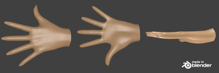 Hand Render Model