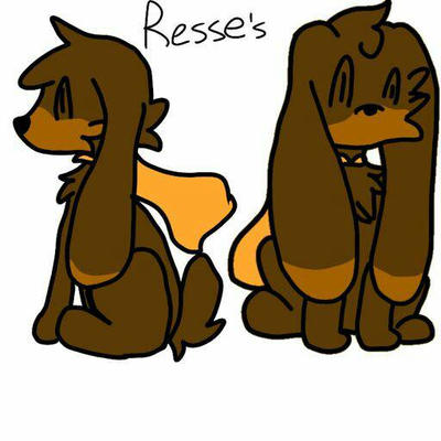 Reece's Rabbit Reese's by ReesesRabbit on DeviantArt