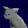 Ashfur - starry night sky