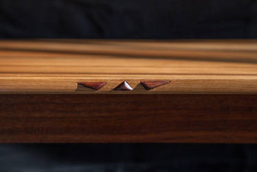 Raised inlay detail