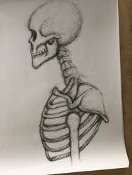 Scribble Skeleton 