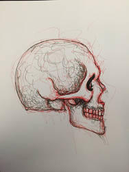 Scribble Skull-Red