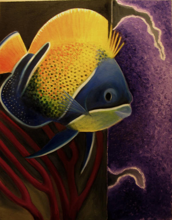 Magestic Angel Fish by SihayaAllyn on DeviantArt