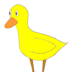 duckkyyy