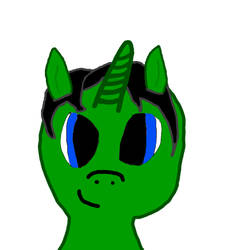 Writer pony profile pic