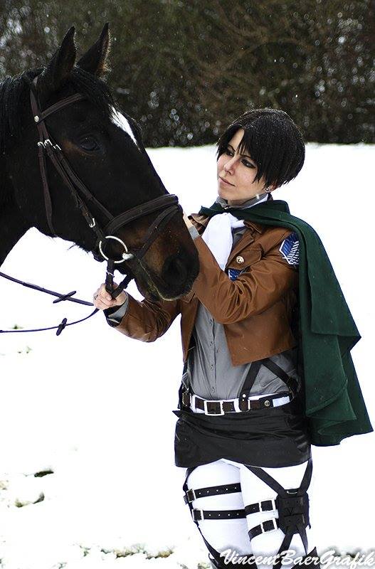 I guess Rivaille likes horses more than people