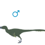 Acheroraptor temertyorum