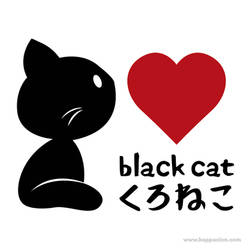 Black Cat, I Love You