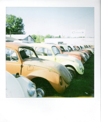 VW bugs poloroid