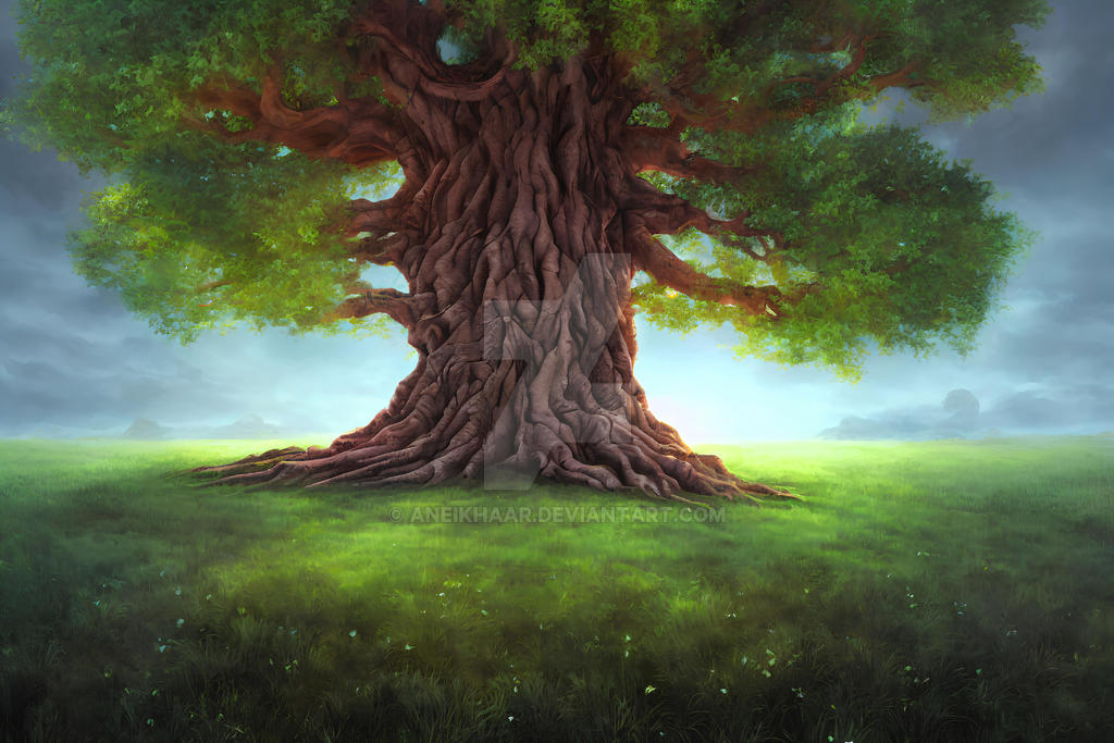 Mystical Tree 10 by AneiKhaar on DeviantArt