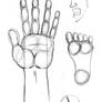 Hand-Foot Tutorial