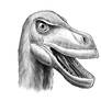 Speedpaint - Velociraptor mongoliensis