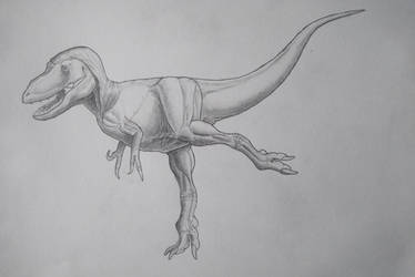 Juvenile Tyrannosaurid being a silly goober 