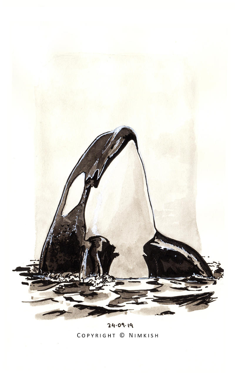 Orca Ink