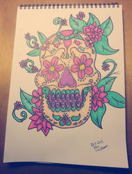 Mexican skull