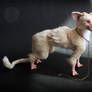 Ghost Trico - poseable art doll