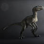 Velociraptor BLUE - posable art doll