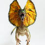 Jurassic Park Dilophosaurus posable OOAK art doll
