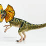 Jurassic Park Dilophosaurus posable OOAK art doll