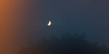 Crescent Moon