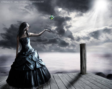 Let go by your Dreams WP