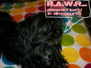 R.A.W.R...