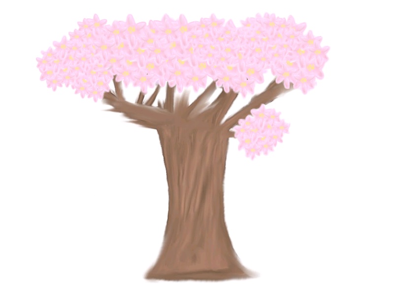 Cherry blossom tree